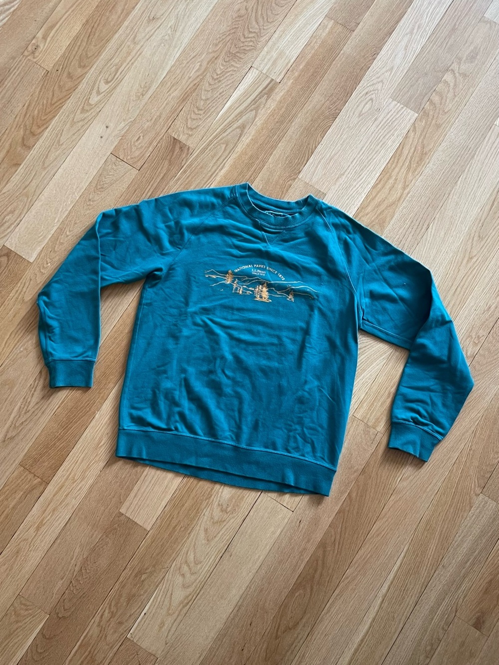 L.L. Bean / Men's Bean's Comfort Camp Crewneck, Graphic - Teal
